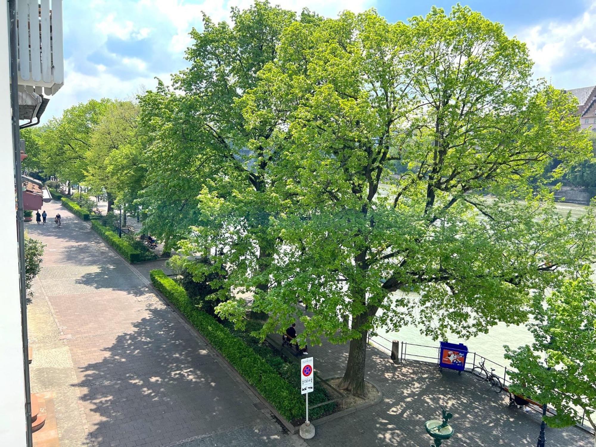 Riverside Bazylea Zewnętrze zdjęcie